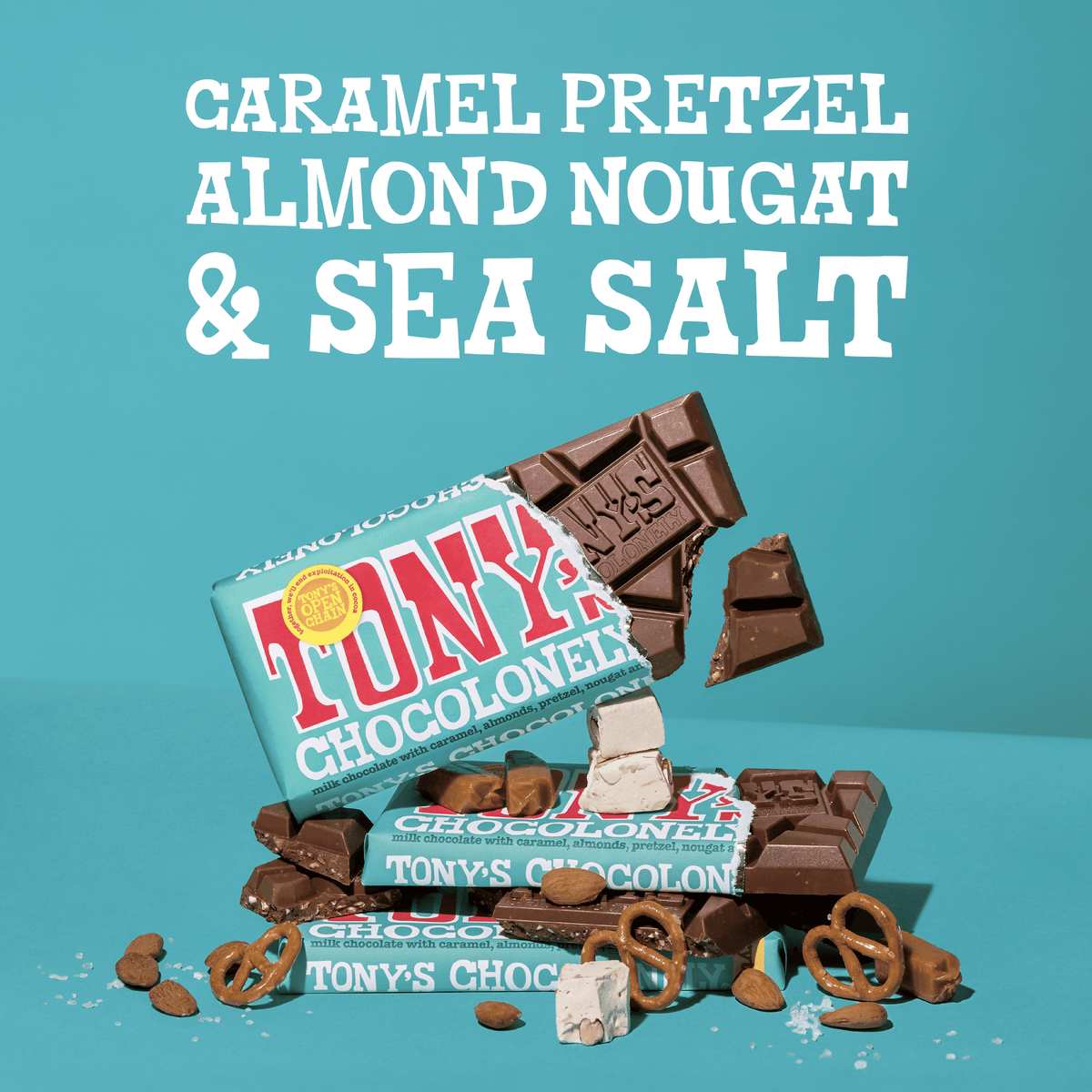 Everything Bar: Milk, Caramel, Almond, Nougat, Pretzel, Sea Salt