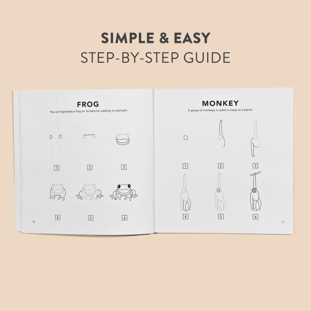 How to Draw All the Animals for Kids