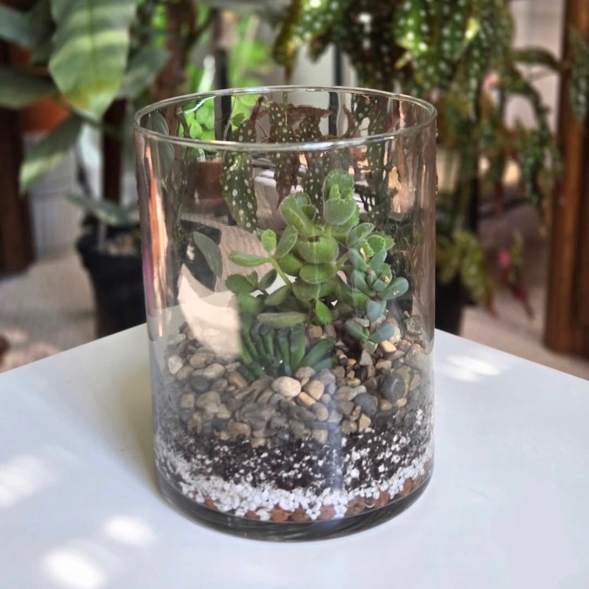 Plant Terrarium Class - July 30, 2026